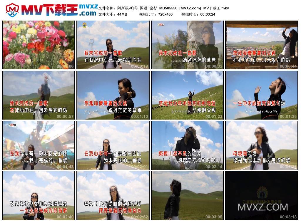 阿斯根-帕玛_国语_流行_MB505556